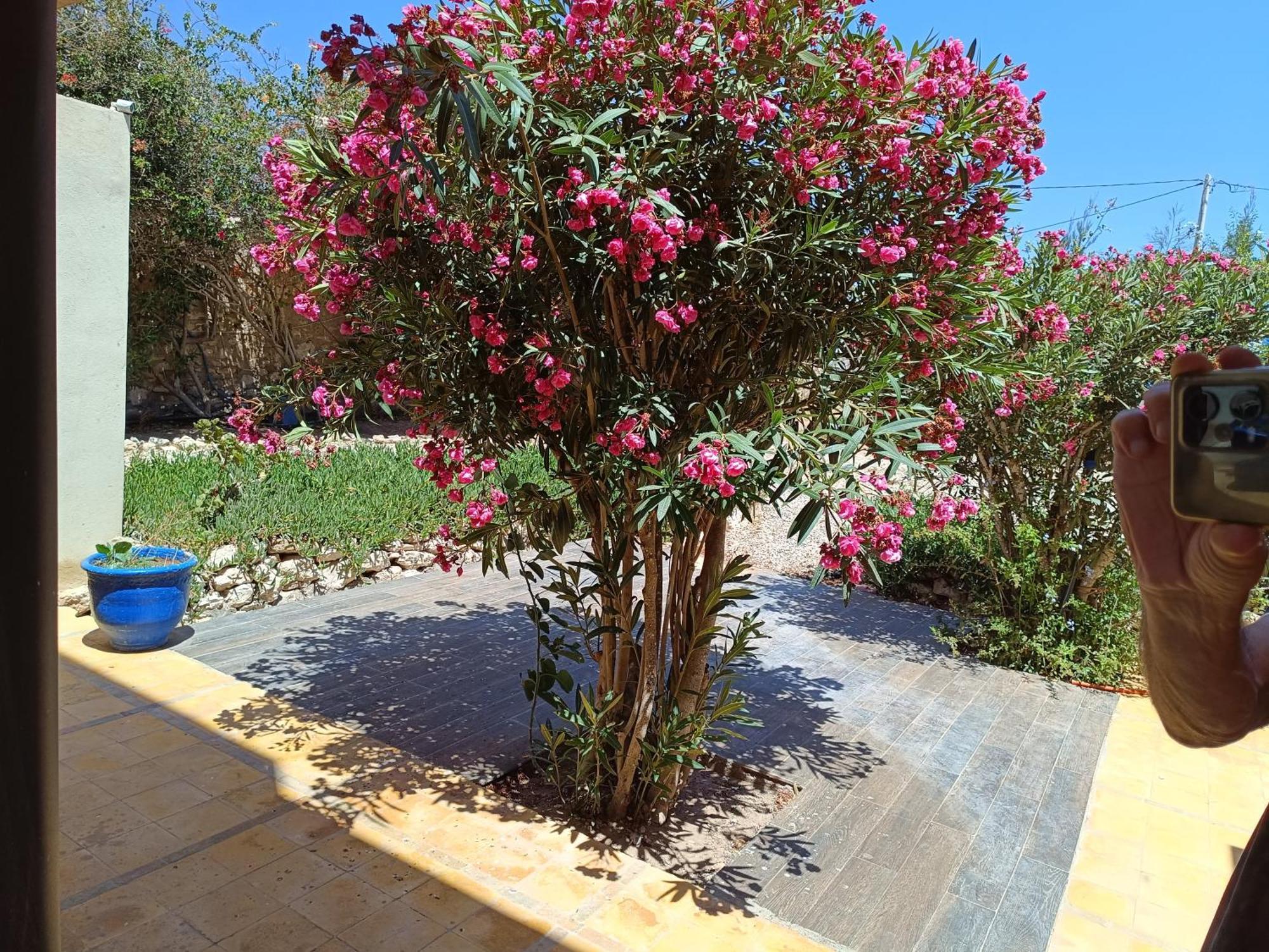L'Abri Cotier De Dar Nezza Διαμέρισμα Sidi Kaouki Εξωτερικό φωτογραφία